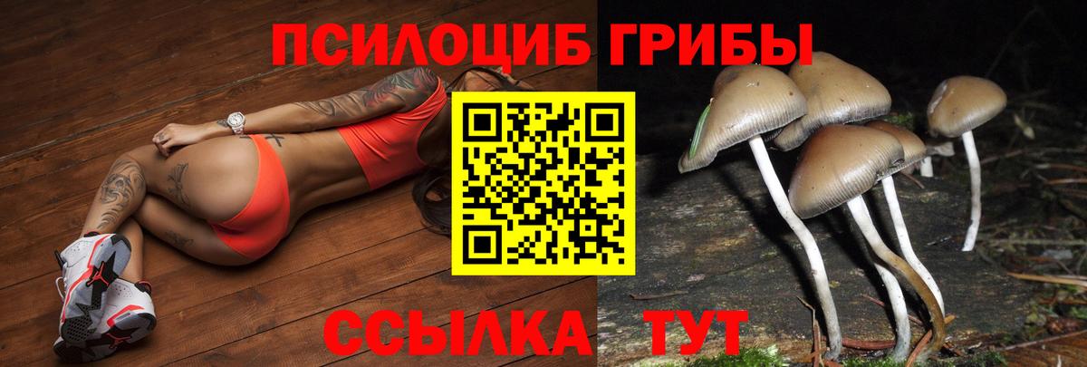 Марихуана  Гашиш  Кокаин  Мефедрон   Углич  Вход с VPN 